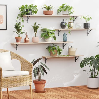 DINZI LVJ Long Wall Shelves, 31.5" Wall Mounted Shelves with Metal Brackets - color: Natural, size: 31.5 Inch