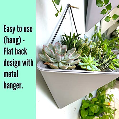 LaLaGreen Succulent Wall Planters (12in, 2 Pack) Large Self Watering Pots - color: Gray X 2 Pack