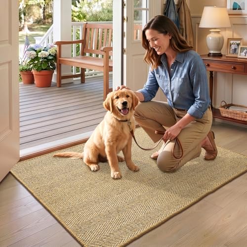 DEXI Jute Entryway Indoor Door Mat 32x48, Non-Slip Sisal Rug, Natural/Brown - color: Natural/Brown, size: 2'8" x 4' (Rectangular)