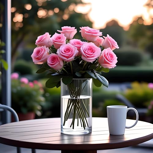 CYS EXCEL (H:12" D:6") Large Cylinder Clear Glass Vase for Wide Bouquet Flower Vase Centerpieces Display Hurricane Floating Candle Holder - size: H-12" D-6"