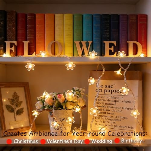 Decorative 100 LED Warm White Cute Cherry Blossom Flower Fairy Light String - color: Warm White