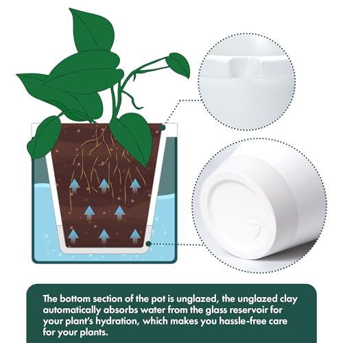 D'vine Dev Self Watering Terracotta Pot, Teal Glass Cup, 8 in, 37-X-C-5 - color: Teal, size: 8 Inch
