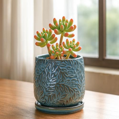 D'vine Dev Embossed Leaves Ceramic Planter, 4 in, Ocean Teal, 27-A-Z-8 - color: Ocean Teal, size: 4 Inch