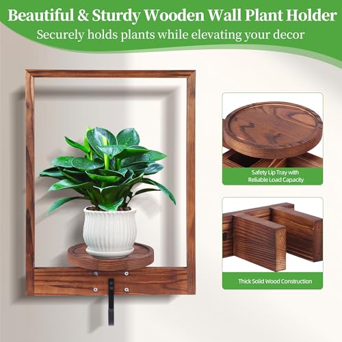 3 Pack Solid Wood Hanging Planters for Indoor Plants Wall Decor with Hooks