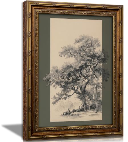 KKP Vintage Tree Sketch Framed Wall Art Antique Old Oak Tree Landscape Drawing Print Classic Forest Green Background Farmhouse Dark Academia Wall Decor for Living Room Study Library Hallway 12x16 Inch - color: Tree Sketch, size: 16"L x 12"W