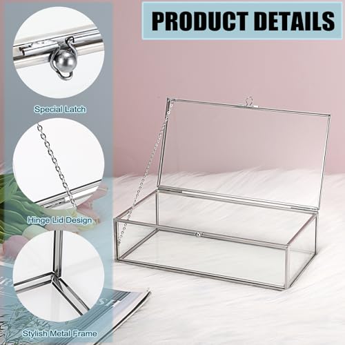Hipiwe Glass Keepsake Display Box Large Clear Jewelry Lidded Boxes with Lid - color: Silver, size: Large