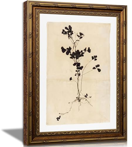 Kouserlin Herb Botanical Framed Wall Art Floral Ink Wall Decor 9×11In - color: 【Vintage Botanical】, size: 11''L×9''W