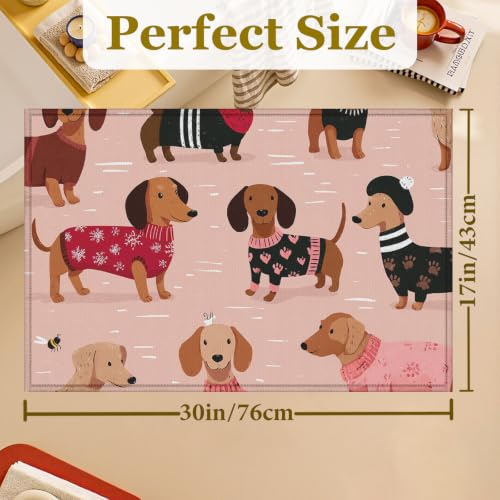 Pink Dachshund Dog Bath Mat Rug, Door Mat Doormat Entrance Non-Slip Bathroom Rugs for Entryway Bathroom Kitchen 17 x 30 Inch - color: Pink Dachshund Dog
