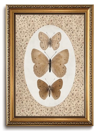 Vintage Butterfly Wall Art gold Framed Butterfly Pictures Wall Decor - color: Butterfly, size: 24"L x 16"W
