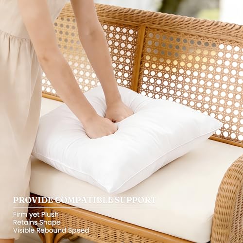 Oubonun Waterproof Outdoor Pillow Inserts 24 x 24 Set of 2, Square Pillows - size: 24 × 24(Pack of 2)