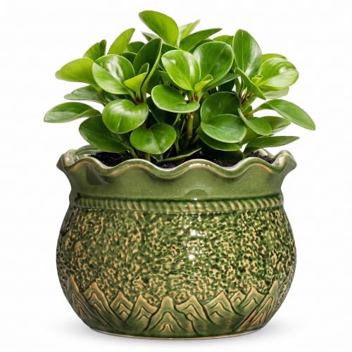 6 Inch Ceramic Pots for Plants, Indoor Plant Pots, Crack Green - color: Crack Green, size: 6 Inch