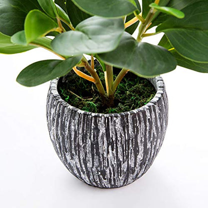 AlphaAcc Fake Faux Fiddle Leaf Fig Cement Planter Housewarming Desk Decor - color: Green Fiddle Leaf Fig Plant