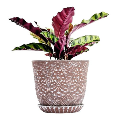 Gepege 8 Inch Ceramic Plant Pot with Drainage & Saucer - color: Clay+white, size: 8 Inch