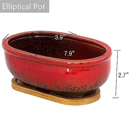 Succulent Pots, 1 Rectangle Planter + 1 Ceramic Bonsai Pots with Drain Tray - color: Red