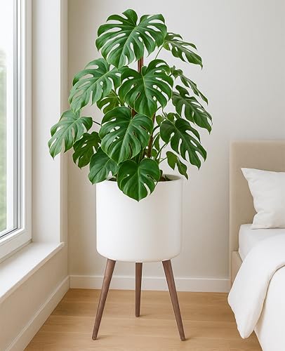 D'vine Dev 16 Inch Planter Pot with Wood Stand, White, 88-O-E-1 - color: Matte White, size: XX-Large