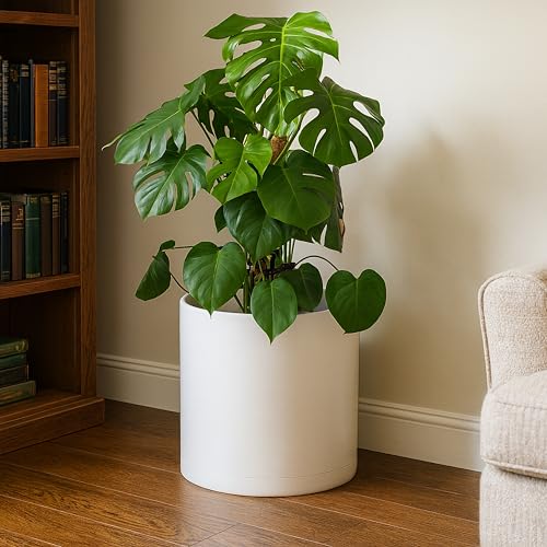 D'vine Dev Plastic Planter Pot with Saucer, 14 in, Oatmeal, 74-X-H-4 - color: Oatmeal, size: 14 Inch