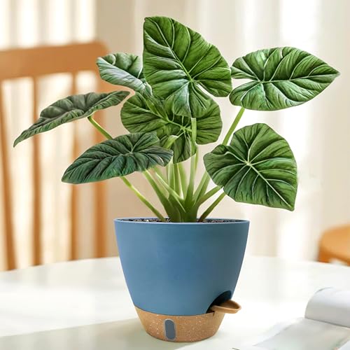 12/10/9/8 inch Self Watering Pots with Visual Water Window, Extra Large Self Watering Plant Pot with Drainage Holes and Saucers, Blue Flower Pots for Indoor Plants - color: Blue