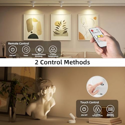 Spot Lights Indoor 5500mAh with Timer, Plant Spot Light Indoor with Remote & 3CCT Dimmable, LED Display Lights Picture Lights for Young, Adults, Women, Tenants, White(2 Pack) - color: 2 x White