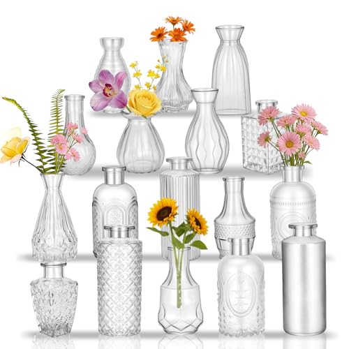 Glass Bud Vases in Bulk Small Mini Clear Vase for Flowers 17pc - color: Transparent