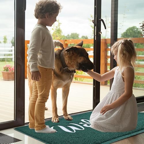 T.HENV Welcome Mat Outdoor, 2' x 3' (Rectangular), Green-White, Waterproof, Quick Drying, Low Profile, Heavy Duty, Non Slip, Fade Resistant - color: Green-white, size: 36" x 24"