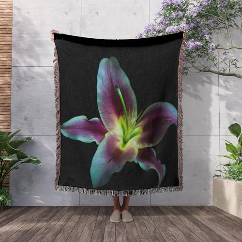 3dRose A Stargazer Lily Against Black Background, Light Painted. Woven Blanket