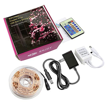 RUICHEN Dimmable Fairy Lights Plug in Copper Wire 33 Ft 100 LED, Warm White - color: Warm White