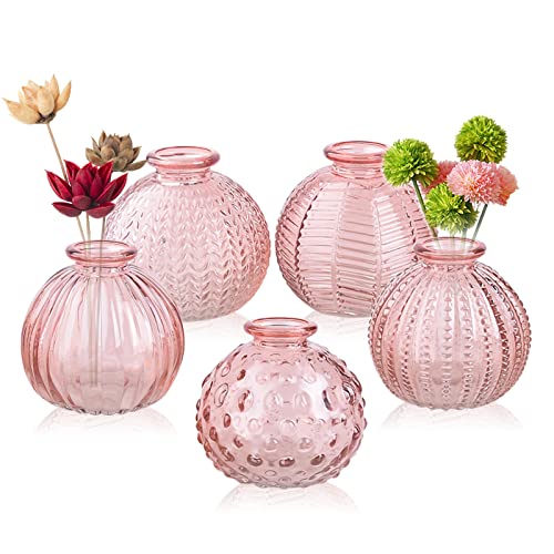 ELEGANTTIME Single Glass Bud Vase Pink Vases for Centerpieces Decor Glass Flower Vase Bottle with Crok Wire Iron Handle Design for Cafes, Office Table, Home and Garden - color: Pink-ball Bottle