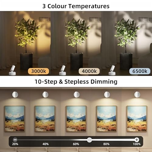 Spot Lights Indoor 5500mAh with Timer, Plant Spot Light Indoor with Remote & 3CCT Dimmable, LED Display Lights Picture Lights for Young, Adults, Women, Tenants, White(2 Pack) - color: 2 x White