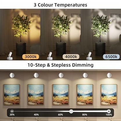 Spot Lights Indoor 5500mAh with Timer, Plant Spot Light Indoor with Remote & 3CCT Dimmable, LED Display Lights Picture Lights for Young, Adults, Women, Tenants, White(2 Pack) - color: 2 x White