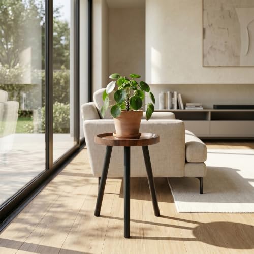 Mid Century Wood Plant Stand – 120 lbs Heavy Duty Plant Stand with Raised Tray & Spray Painted Legs, Solid Wood Side Table for Living Room, Bedroom, Entryway, Small Footprint for Plants, Decor (2 Pcs)