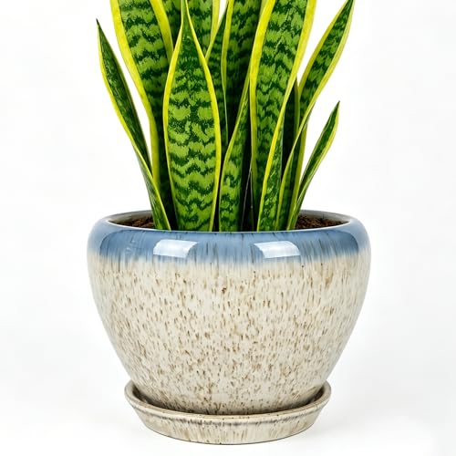 Deep Dream 8 Inch Plant Pots- Ceramic Pots for Plants with Drainage Hole and Saucer, Large Planter Pot for Indoor Plants Outdoor Decor, Beige&Blue - color: Beige&blue, size: 8 Inch
