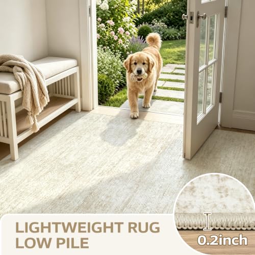 6x9 Area Rugs, Beige Washable Geometric Boho Rug for Living Room, Bedroom - color: Beige, size: 6' x 9' (Rectangular)