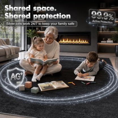 LIANLAM Silver Infused Self-Cleaning Area Rug for Living Room (6x9,Black) - color: Black(silver), size: 6' x 9' (Rectangular)