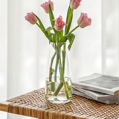 FANTESTICRYAN Modern Glass Vase, 8.7''H Decor Flower Vases, Crystal Clear - color: Crystal Clear