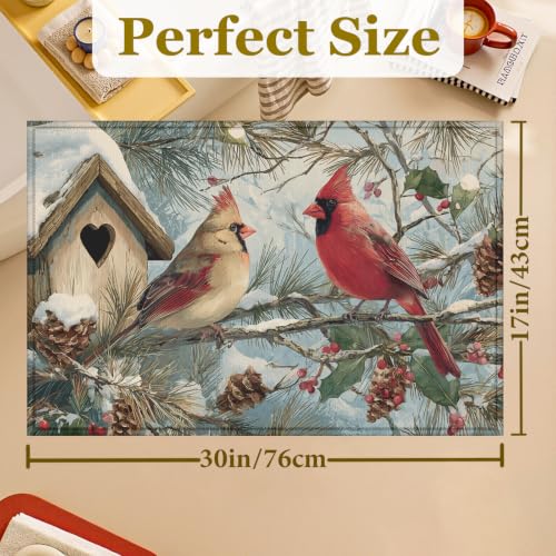 Red Cardinal Bird Bath Mat Rug, Door Mat Doormat Entrance Non-Slip Bathroom Rugs for Entryway Bathroom Kitchen 17 x 30 Inch - color: Red Cardinal Bird