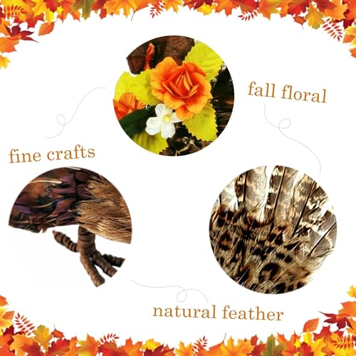 naturevibe 10/6.5 Inch Set of 2 Thanksgiving Feathered Turkey Decorations - style: Turkey Family-Set of 2