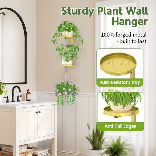 LASZOLA Plant Hanger Holder Window Shelf Wall Mounted Indoor, 2 Pcs Gold - color: Warm Gold, size: 2