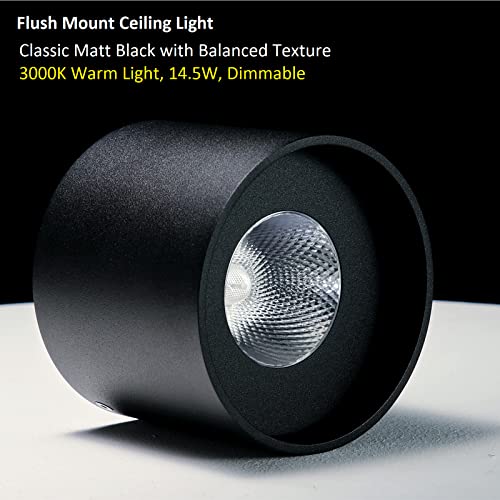 Ceiling Light Fixture, Flush Mount Ceiling Lights LED Dimmable Cylinder Ceiling Light Spot Light for Living Room Hallway Kitchen Dining Room Foyer 3000K 14.5W (Black) 2-Pack - color: Black 2pack