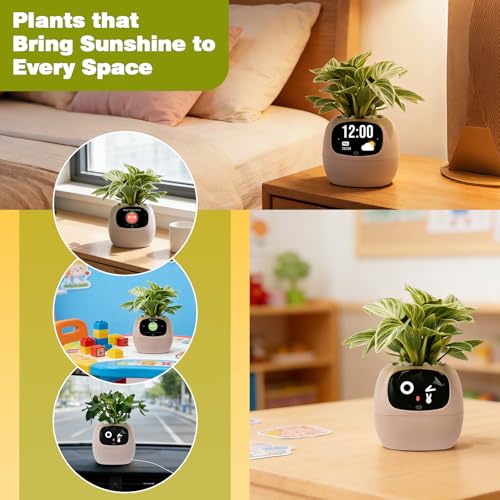 PLANTSIO Smart Plant Pot with Screen, 80ml Self-Watering Planter Pink - color: Pink