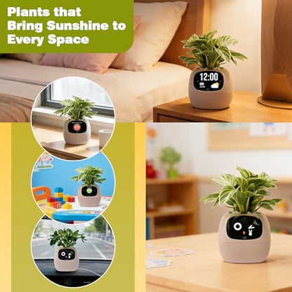 PLANTSIO Smart Plant Pot with Screen, 80ml Self-Watering Planter Pink - color: Pink