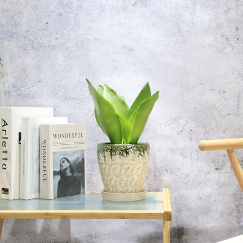 Ceramic Planter Pots for Indoor Plants, 8Inch + 6 Inch Plant Pot with Drainage Holes, Saucers and Mesh Pads, Succulent Orchid Flower Pot -Set of 2 - size: set of 2-8inch+6inch