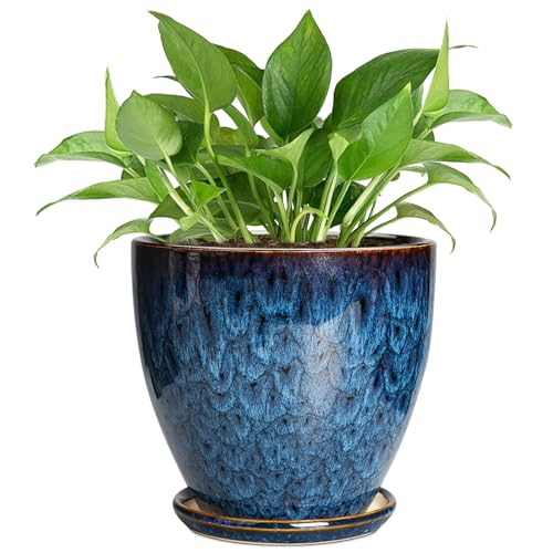 6 Inch Plant Pot - Ceramic Pots for Plants with Drainage Hole and Saucer, Ceramic Planters for Indoor Plants Outdoor, Decorative Round Planter, Room Home Decor, Gifts for Plant Lovers, Blue - color: Blue-glaze, size: 6 Inch