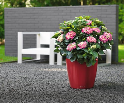 Lechuza Classico LS 28 Scarlet Red High Gloss, Self-Watering Round Planter, D11 H10.2 in - color: Red High-gloss, size: D28 H26 cm