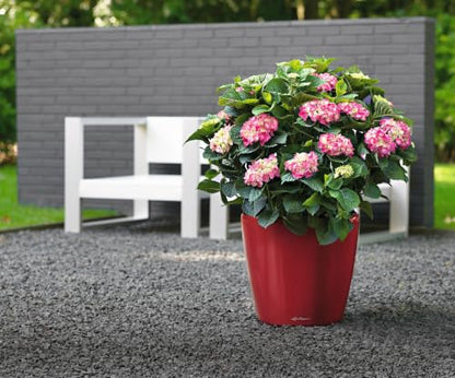 Lechuza Classico LS 28 Scarlet Red High Gloss, Self-Watering Round Planter, D11 H10.2 in - color: Red High-gloss, size: D28 H26 cm