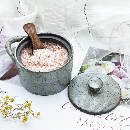 8 oz Ceramic Salt Cellar with Lid & Wooden Spoon,Countertop Salt Container,Sugar Bowl,Spices Jar| Artisan Kitchen Decor(Gray) - color: Gray