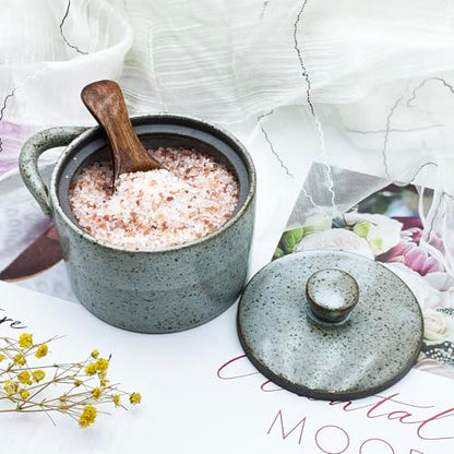 8 oz Ceramic Salt Cellar with Lid & Wooden Spoon,Countertop Salt Container,Sugar Bowl,Spices Jar| Artisan Kitchen Decor(Gray) - color: Gray