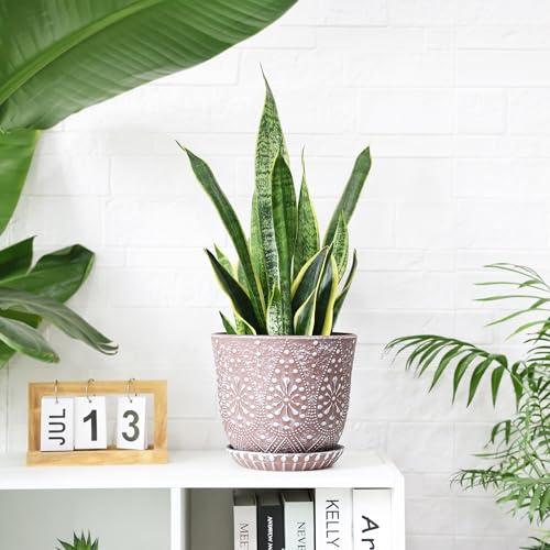 Gepege 8 Inch Ceramic Plant Pot with Drainage & Saucer - color: Clay+white, size: 8 Inch