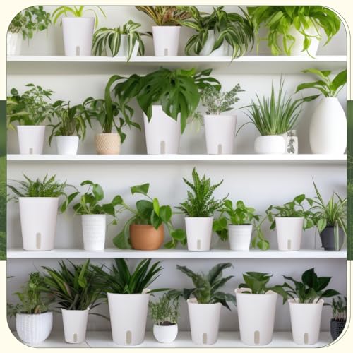 Ziliny 18 Pcs Self Watering Pots Plastic Plant 3 Sizes Flower Plant Pot with Inner White Flower Pots for Indoor House Plants Plastic Self Watering Pot for Herbs Flowers (Xs,S,M) - size: XS,S,M