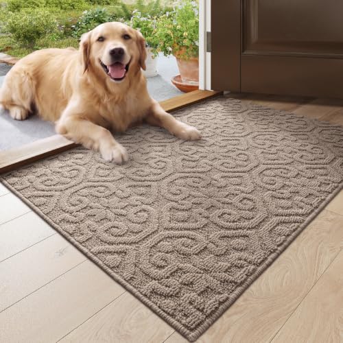 DEXI Front Door Mat Indoor Entrance, 24x36 Entryway Doormat, Beige - color: Beige, size: 24" X 36" (Rectangular)