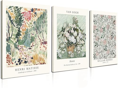 Induslyfe Framed Sage Green Vintage Wall Art Canvas Decor Set of 3, Matisse Prints Posters Mid Century Modern Art, Aesthetic Floral Botanical Wall Art for Bedroom, Living Room, Bathroom 12x16 - color: Vintage, size: 12"x16"